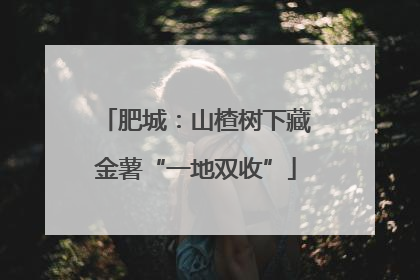肥城：山楂树下藏金薯“一地双收”
