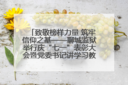 致敬榜样力量 筑牢信仰之基——聊城监狱举行庆“七一”表彰大会暨党委书记讲学习教育专题党课