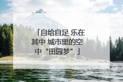 自给自足 乐在其中 城市里的空中“田园梦”
