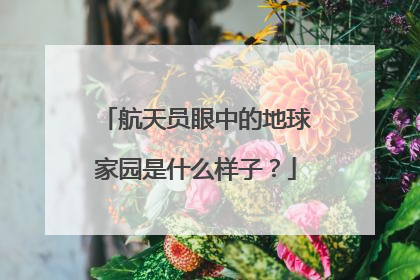 航天员眼中的地球家园是什么样子？