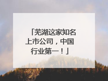 芜湖这家知名上市公司，中国行业第一！