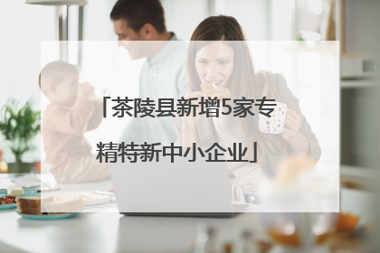茶陵县新增5家专精特新中小企业