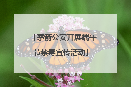 茅箭公安开展端午节禁毒宣传活动