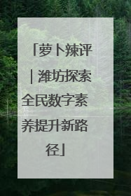 萝卜辣评｜潍坊探索全民数字素养提升新路径