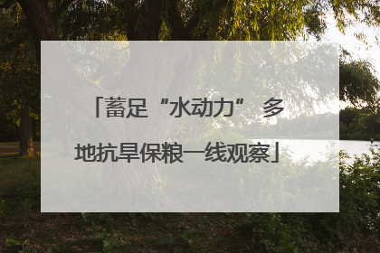 蓄足“水动力” 多地抗旱保粮一线观察