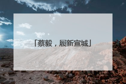 蔡毅，履新宣城