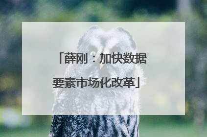 薛刚：加快数据要素市场化改革