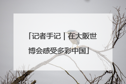 记者手记｜在大阪世博会感受多彩中国