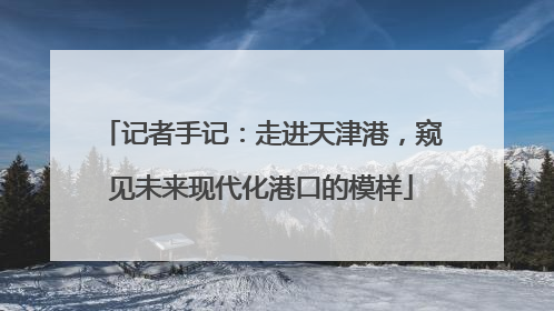 记者手记：走进天津港，窥见未来现代化港口的模样
