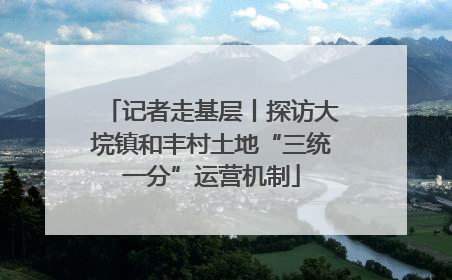 记者走基层丨探访大垸镇和丰村土地“三统一分”运营机制