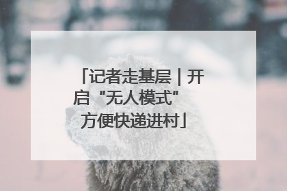 记者走基层｜开启“无人模式” 方便快递进村