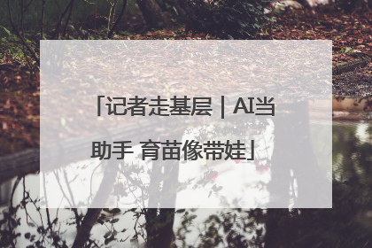 记者走基层｜AI当助手 育苗像带娃