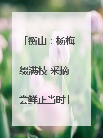 衡山：杨梅缀满枝 采摘尝鲜正当时