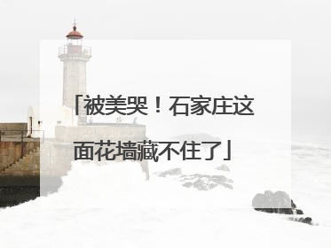 被美哭！石家庄这面花墙藏不住了
