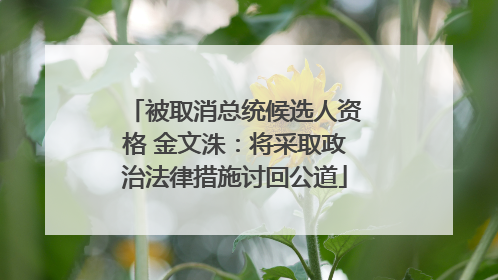 被取消总统候选人资格 金文洙：将采取政治法律措施讨回公道