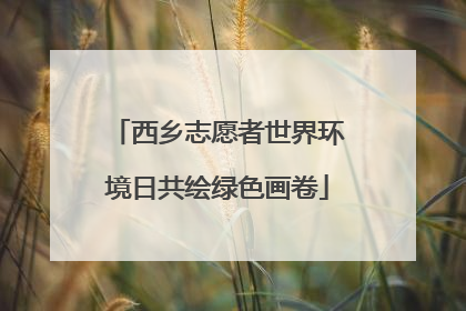 西乡志愿者世界环境日共绘绿色画卷