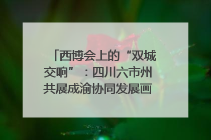 西博会上的“双城交响”：四川六市州共展成渝协同发展画卷｜西博视界