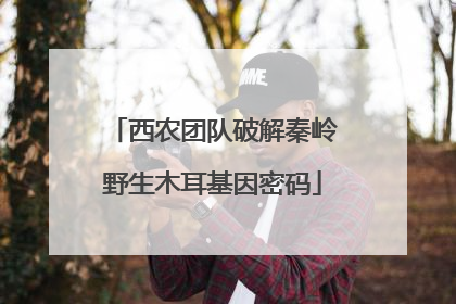 西农团队破解秦岭野生木耳基因密码