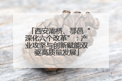西安灞桥、鄠邑“深化六个改革”：产业攻坚与创新赋能双驱高质量发展