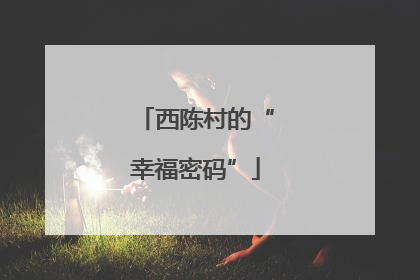 西陈村的“幸福密码”