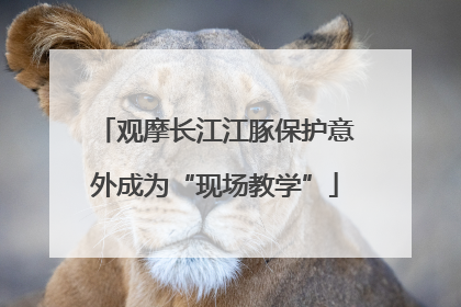 观摩长江江豚保护意外成为“现场教学”