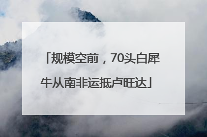 规模空前，70头白犀牛从南非运抵卢旺达
