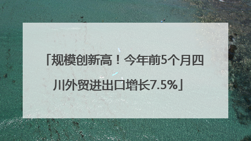 规模创新高！今年前5个月四川外贸进出口增长7.5%