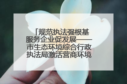 规范执法强根基 服务企业促发展——市生态环境综合行政执法局激活营商环境“绿色动能”