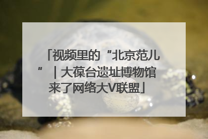视频里的“北京范儿”｜大葆台遗址博物馆来了网络大V联盟
