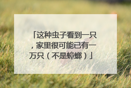 这种虫子看到一只，家里很可能已有一万只（不是蟑螂）