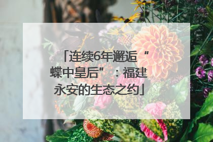 连续6年邂逅“蝶中皇后”：福建永安的生态之约