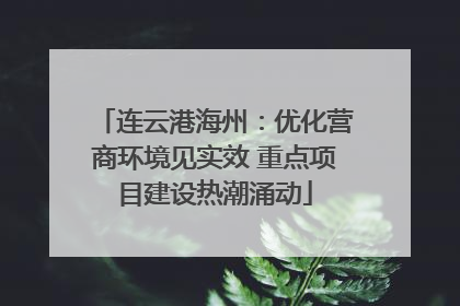 连云港海州：优化营商环境见实效 重点项目建设热潮涌动