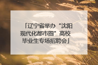 辽宁省举办“沈阳现代化都市圈”高校毕业生专场招聘会