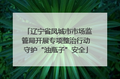 辽宁省凤城市市场监管局开展专项整治行动守护“油瓶子”安全