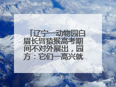 辽宁一动物园白眉长臂猿猴高考期间不对外展出，园方：它们一高兴就喜欢鸣叫，怕影响考试