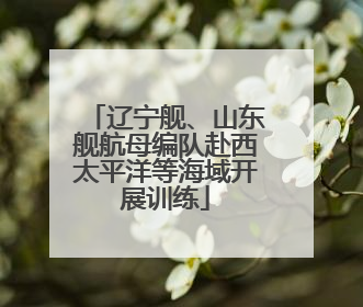 辽宁舰、山东舰航母编队赴西太平洋等海域开展训练