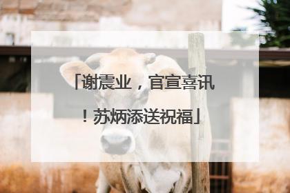 谢震业，官宣喜讯！苏炳添送祝福