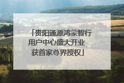 贵阳通源鸿蒙智行用户中心盛大开业 获首家尊界授权