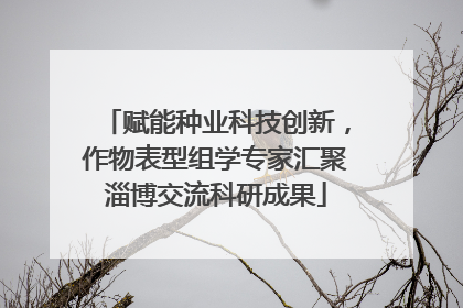 赋能种业科技创新，作物表型组学专家汇聚淄博交流科研成果