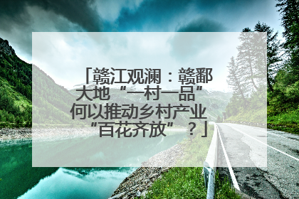赣江观澜：赣鄱大地“一村一品”何以推动乡村产业“百花齐放”？