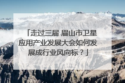走过三届 眉山市卫星应用产业发展大会如何发展成行业风向标？