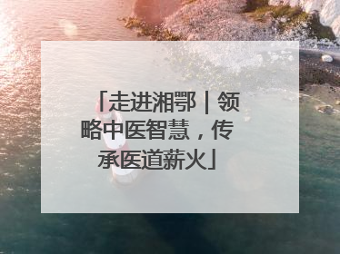 走进湘鄂｜领略中医智慧，传承医道薪火