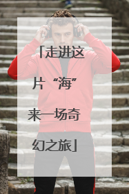 走进这片“海”来一场奇幻之旅