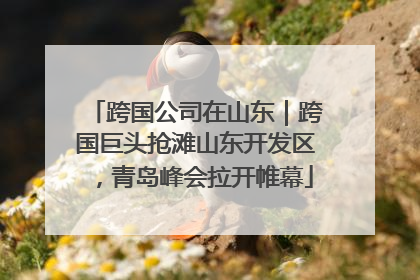 跨国公司在山东｜跨国巨头抢滩山东开发区，青岛峰会拉开帷幕
