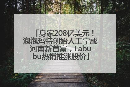 身家208亿美元！泡泡玛特创始人王宁成河南新首富，Labubu热销推涨股价