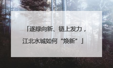 逐绿向新、链上发力，江北水城如何“焕新”