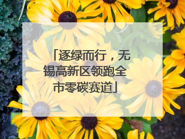 逐绿而行，无锡高新区领跑全市零碳赛道