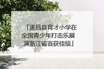 遂昌县育才小学在全国青少年打击乐展演浙江省赛获佳绩