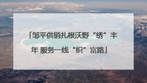 邹平供销扎根沃野“绣”丰年 服务一线“织”富路