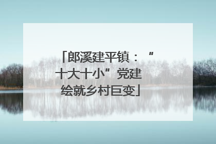 郎溪建平镇：“十大十小”党建 绘就乡村巨变